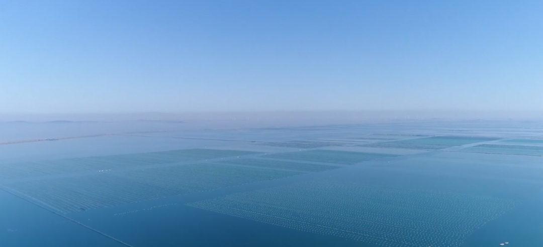 圖片1.png 圖片1.png