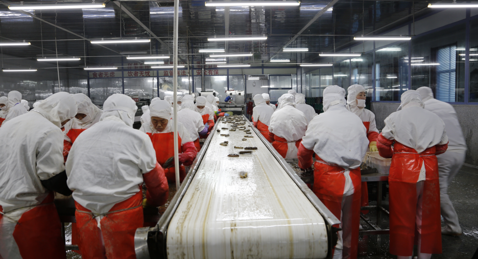 圖片5.png 圖片5.png