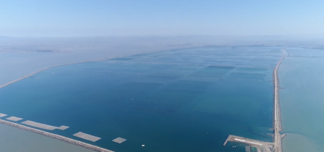 圖片3.png 圖片3.png