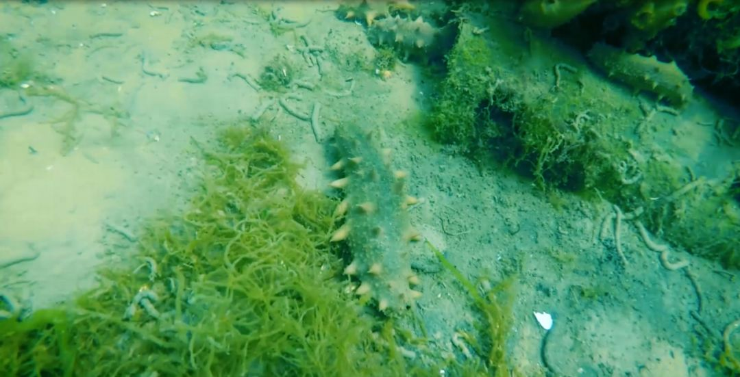 圖片6.png 圖片6.png